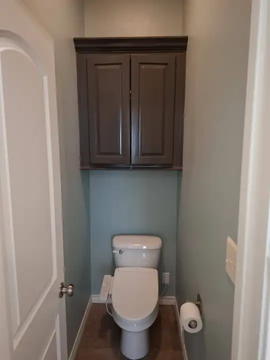Dark over-toilet cabinet against sage walls