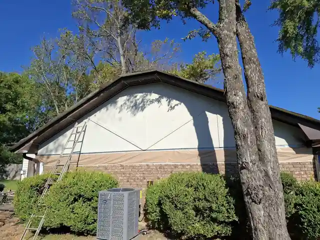 Gable end with a ladder leaning on it and a tree trunk in the foreground